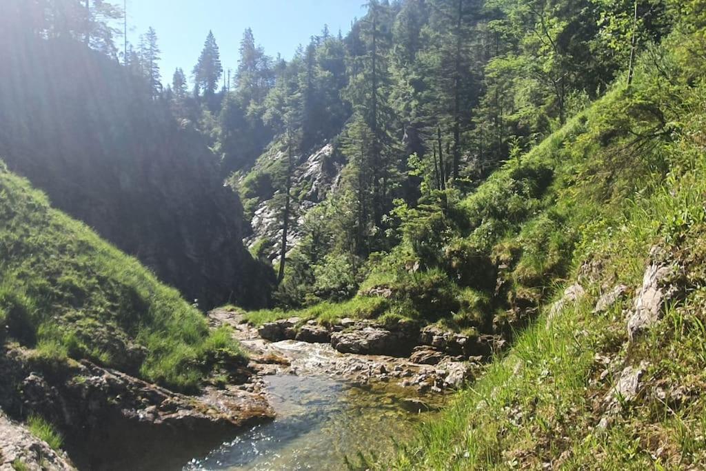 Romantisches Alpenchalet - Mit Sauna Und Kamin - Ruhig Und Zentral باد تولز المظهر الخارجي الصورة