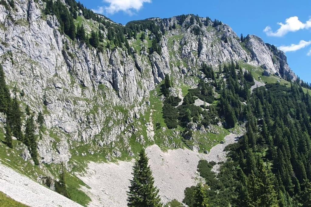 Romantisches Alpenchalet - Mit Sauna Und Kamin - Ruhig Und Zentral باد تولز المظهر الخارجي الصورة